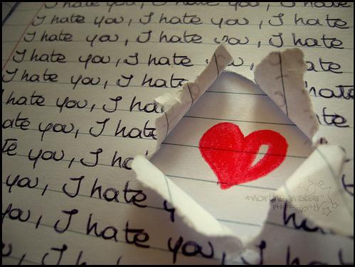 Love or hate - decide