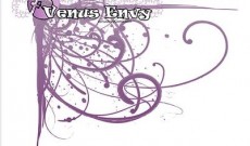 Venus Envy transsexual comic strip